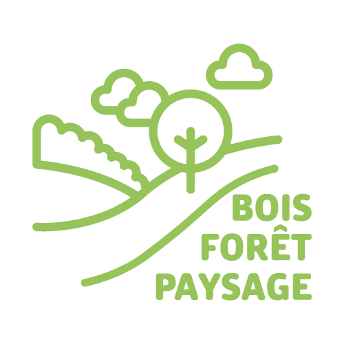 activity-area-icon