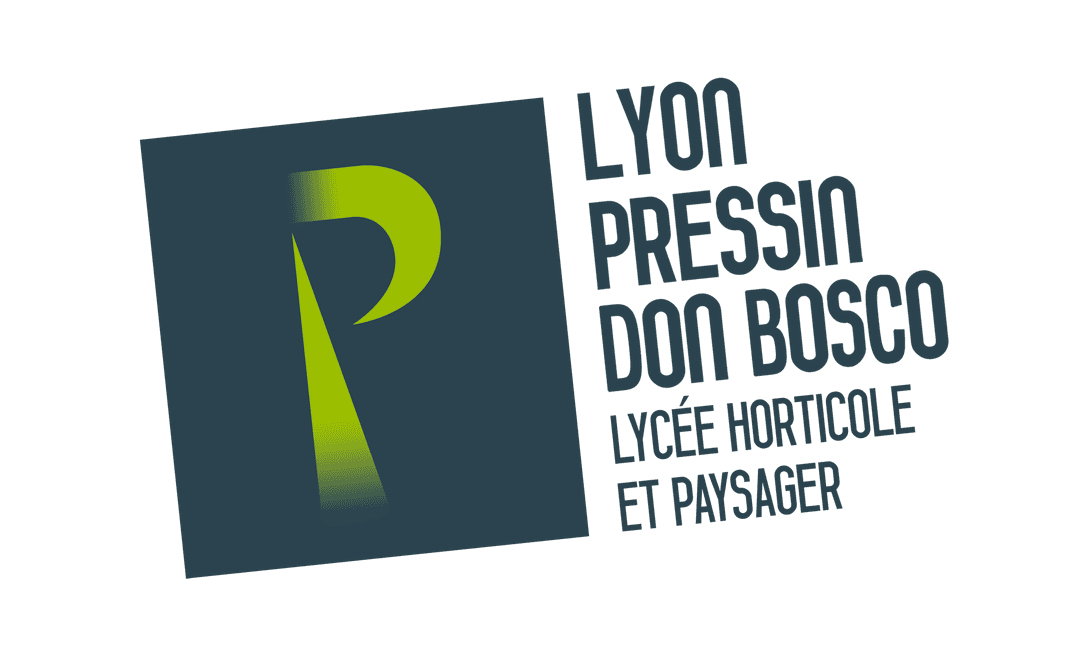 logo-site